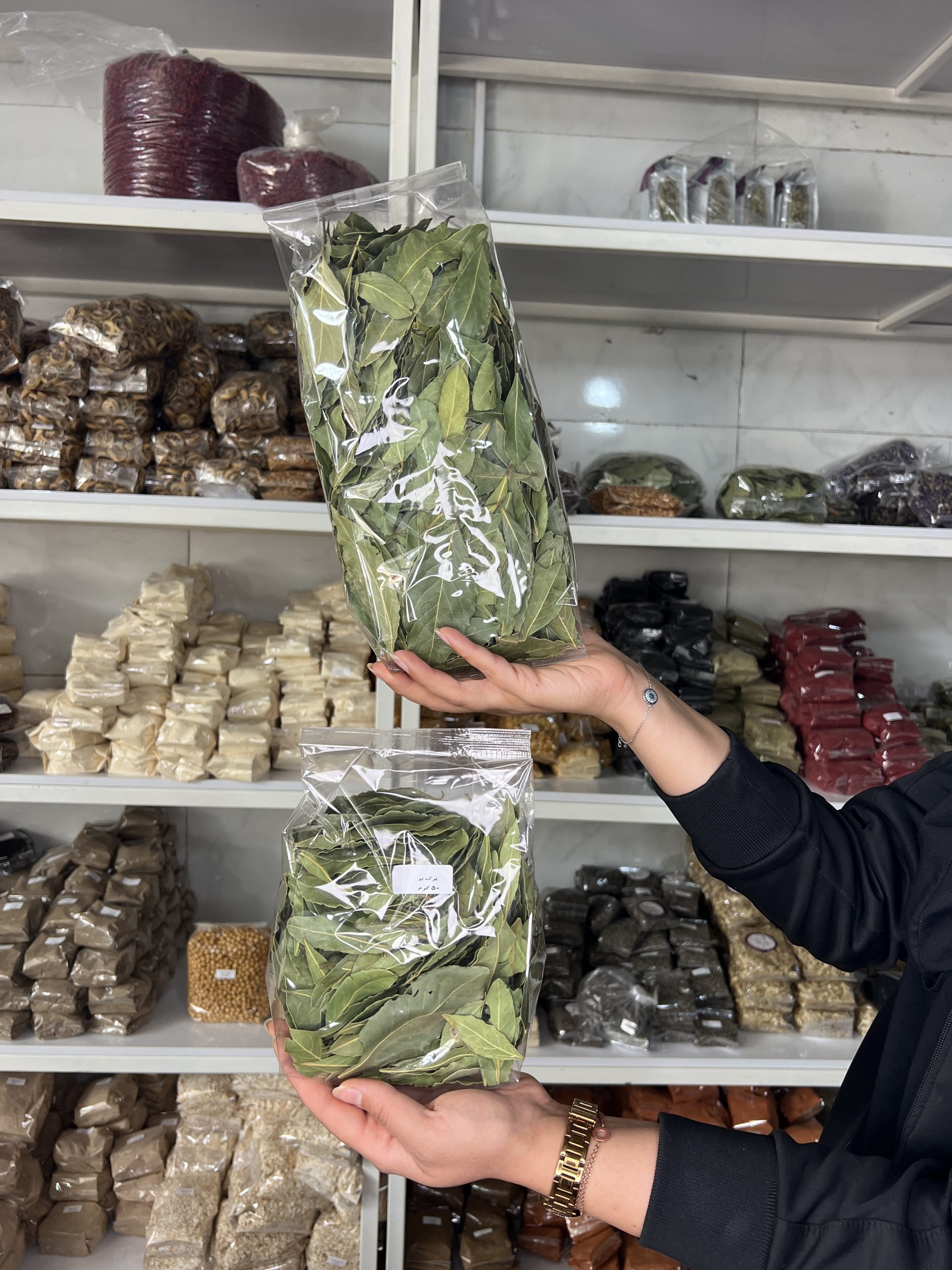 A303880A-DEC6-4A0E-8C68-ECBF76B16F2C