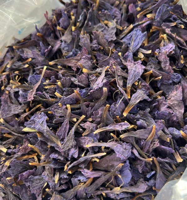 گل گاوزبان