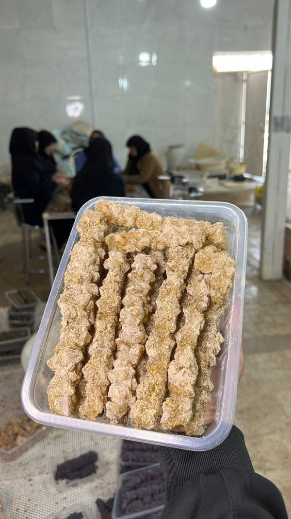 نبات شاخه هل