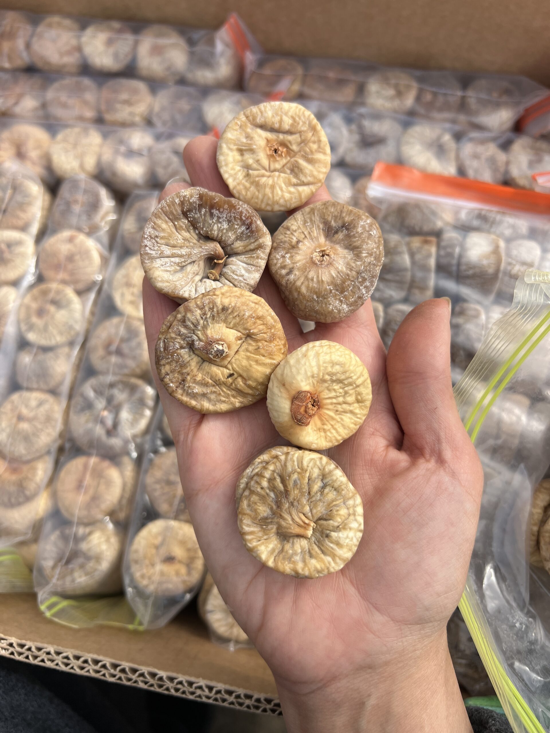 1C1007BE-E6CC-4302-ADDB-4F575643DFF6