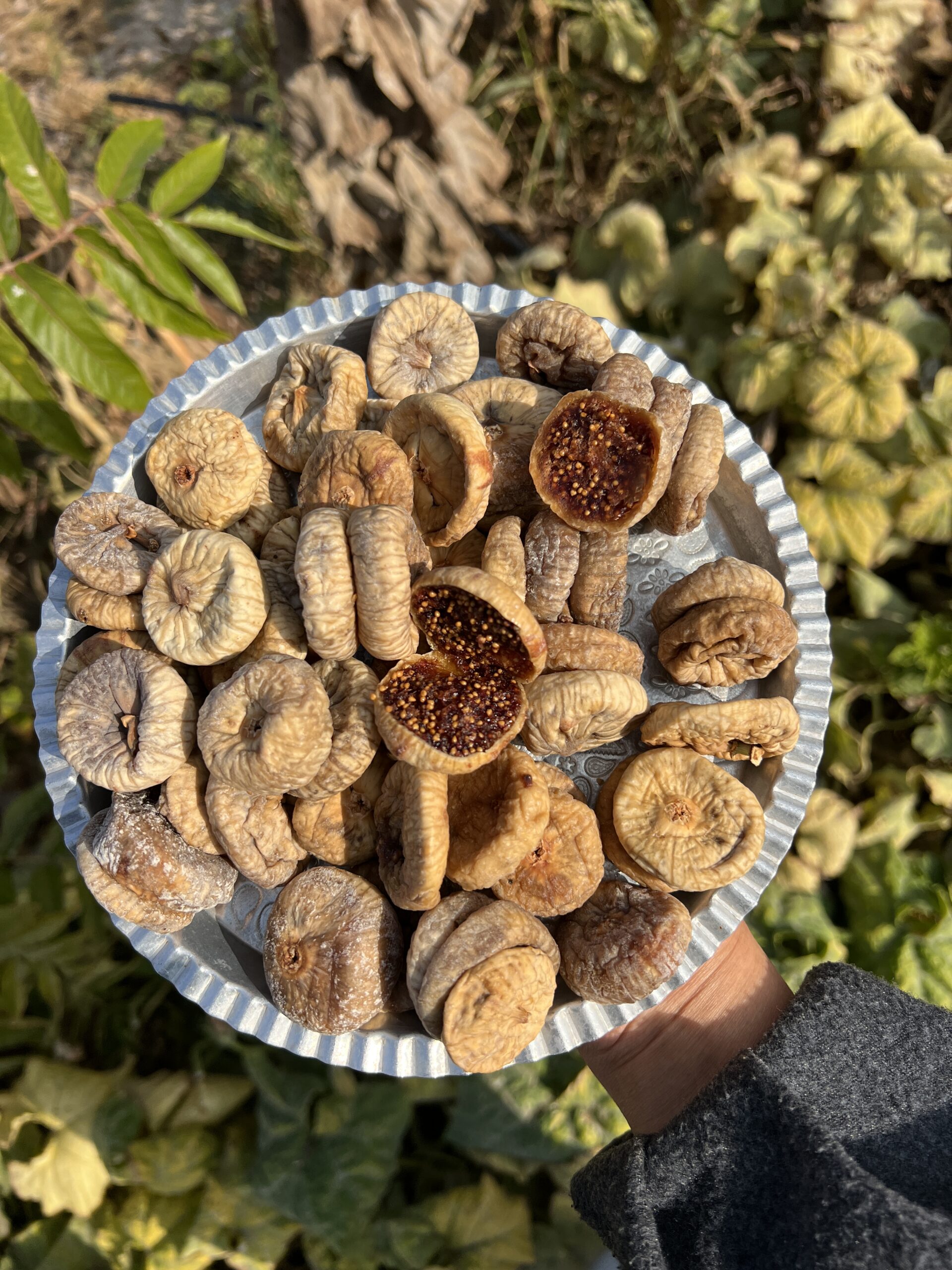 49E6648C-0949-4E76-84FD-5321474FAD64